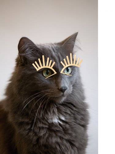 Janine Arnold Schmuck - Collage: Portrait einer Katze mit Ohrringen als Augenbrauen