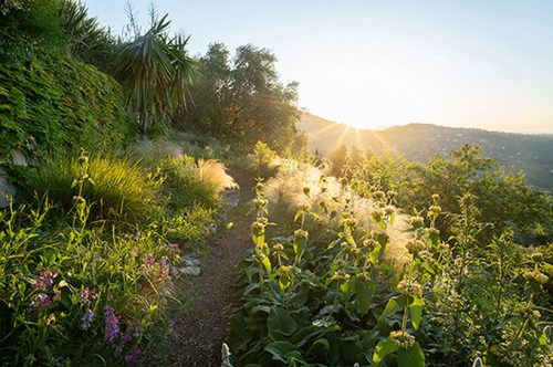 La-Mouissone-5-24-6590kleiner