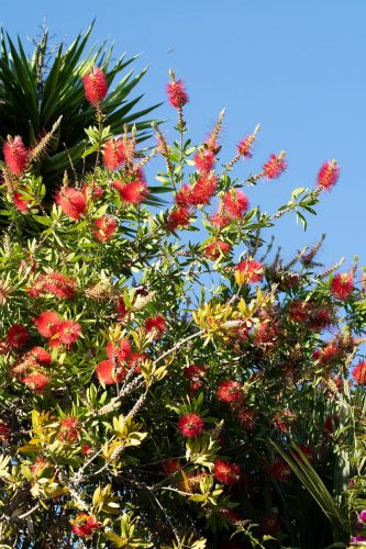 La-Mouissone-5-24-6685