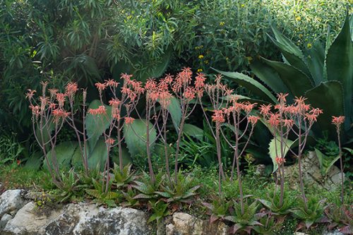 La-Mouissone-5-24-6892kleiner