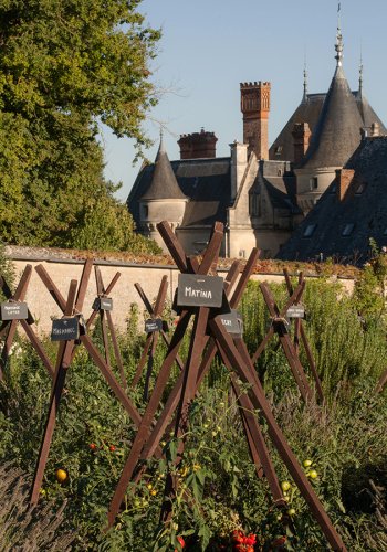 07 Tomaten Vielfalt Fotografie Angela Franke Conservatoire-de-la-tomate