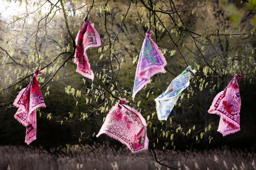 le sens, bee project, Tücher im Park im Frühling