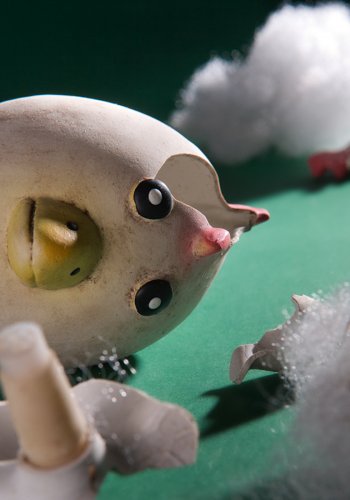 Zerstörtes Hundespielzeug