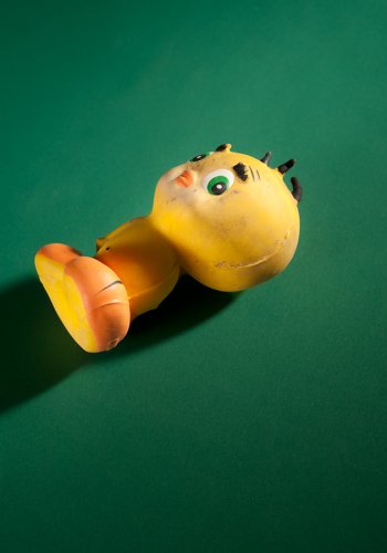 benutztes Hundespielzeug, Gummi Küken